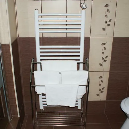 Sorina Guest house *